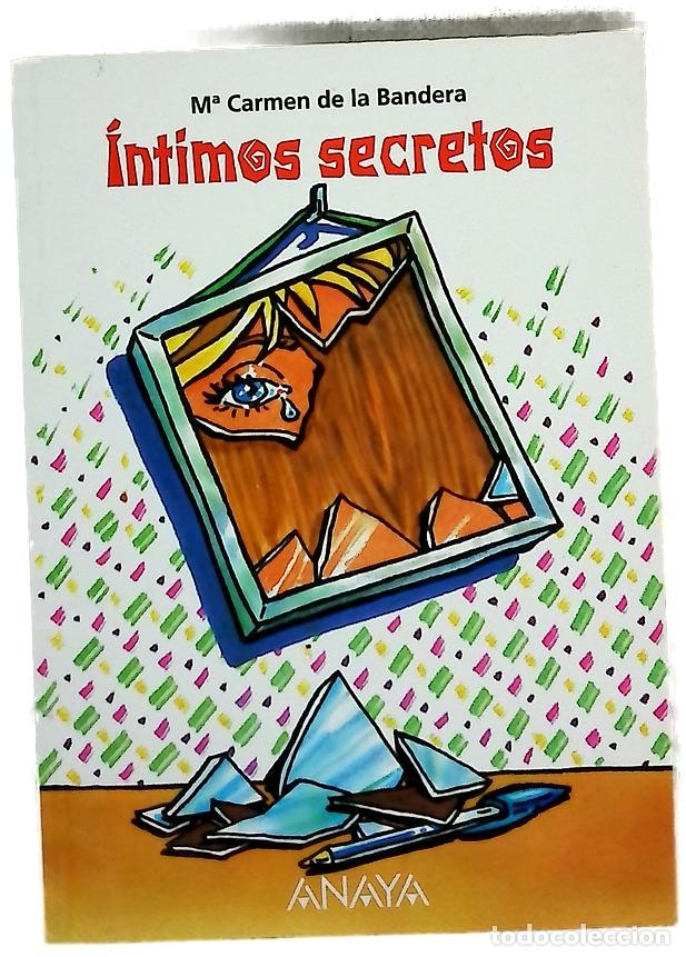 Libros: &Iacute;ntimos secretos - Bandera, Mar&iacute;a Carmen de la