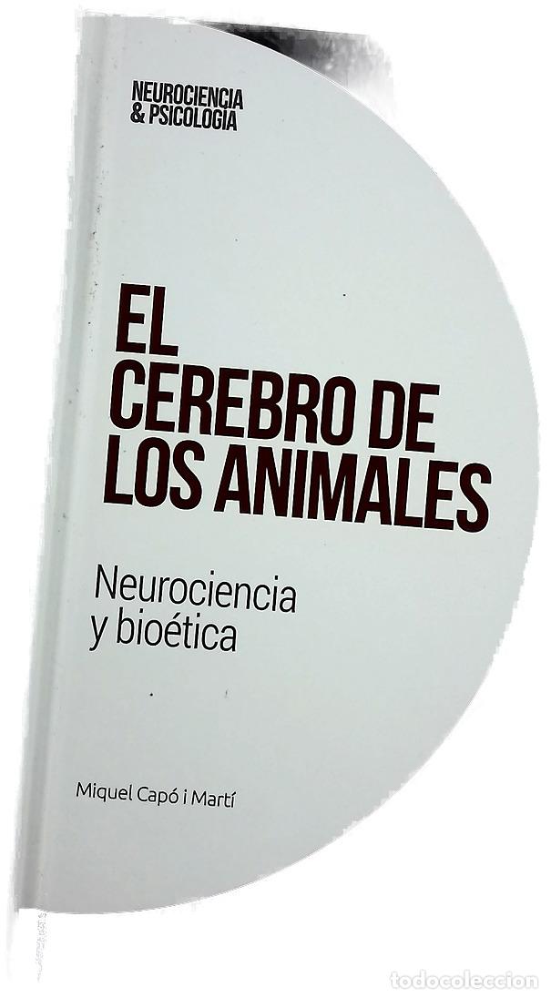 Libros: Epilepsia y sincronizaci&oacute;n cerebral : una aproximaci&oacute;n rigurosa y amena a uno de los trastornos n...