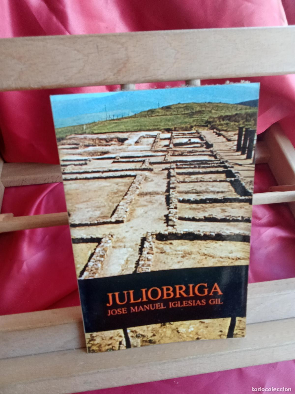 Libros: Juliobriga. Jose Manuel Iglesias Gil L.20558-1252