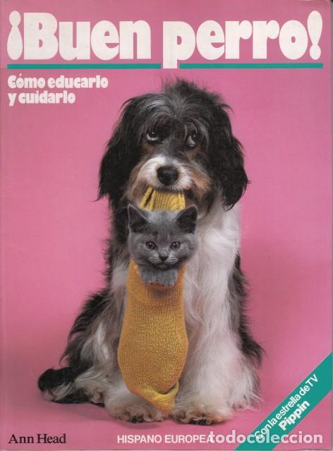 B&uuml;cher: BUEN PERRO. C&Oacute;MO EDUCARLO Y CUIDARLO - HEAD, ANN