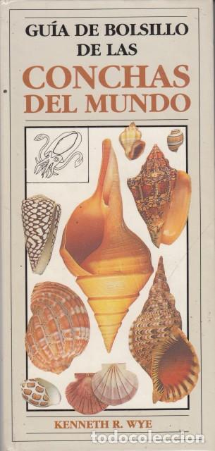Libros: GU&Iacute;A DE BOLSILLO DE LAS CONCHAS DEL MUNDO - WYE, KENNETH R.