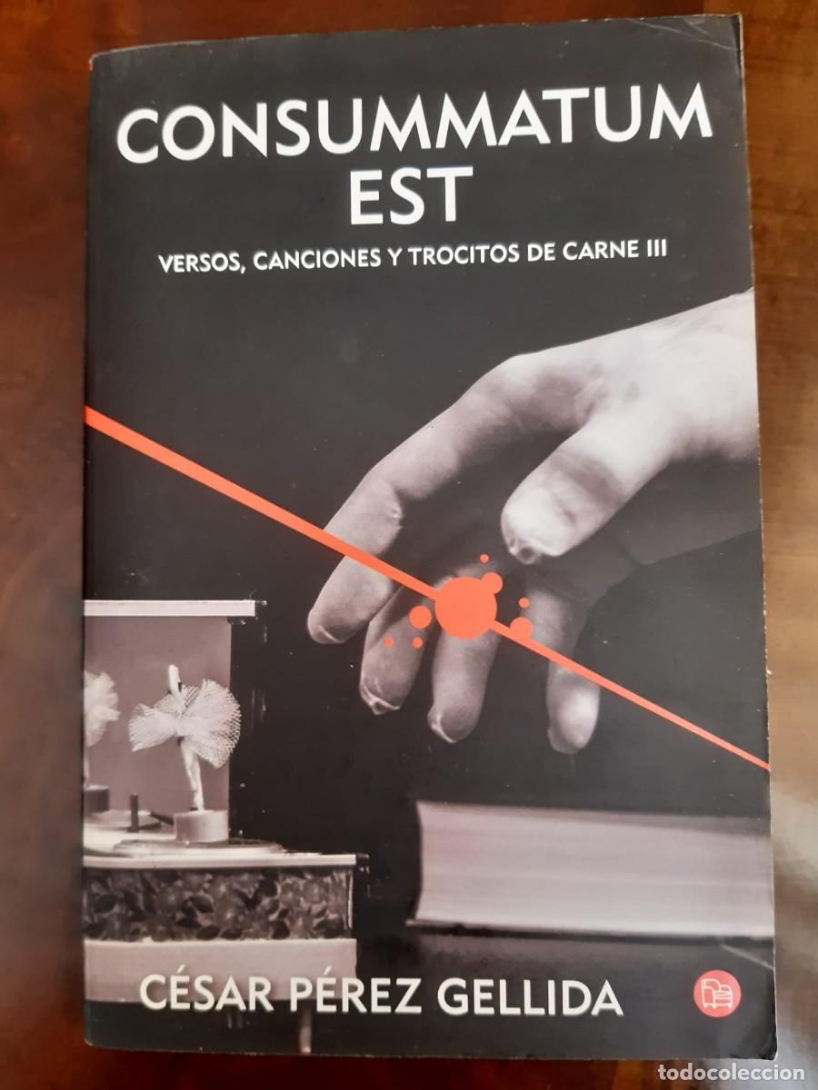 Libros: CONSUMMATUM EST. C&eacute;sar P&eacute;rez Gellida