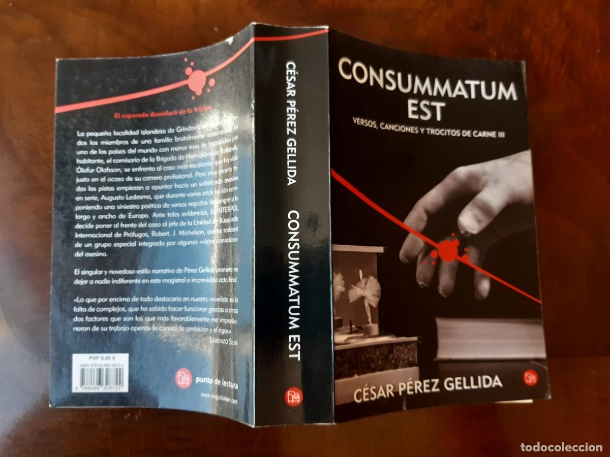 Libros: CONSUMMATUM EST. C&eacute;sar P&eacute;rez Gellida - Foto 3