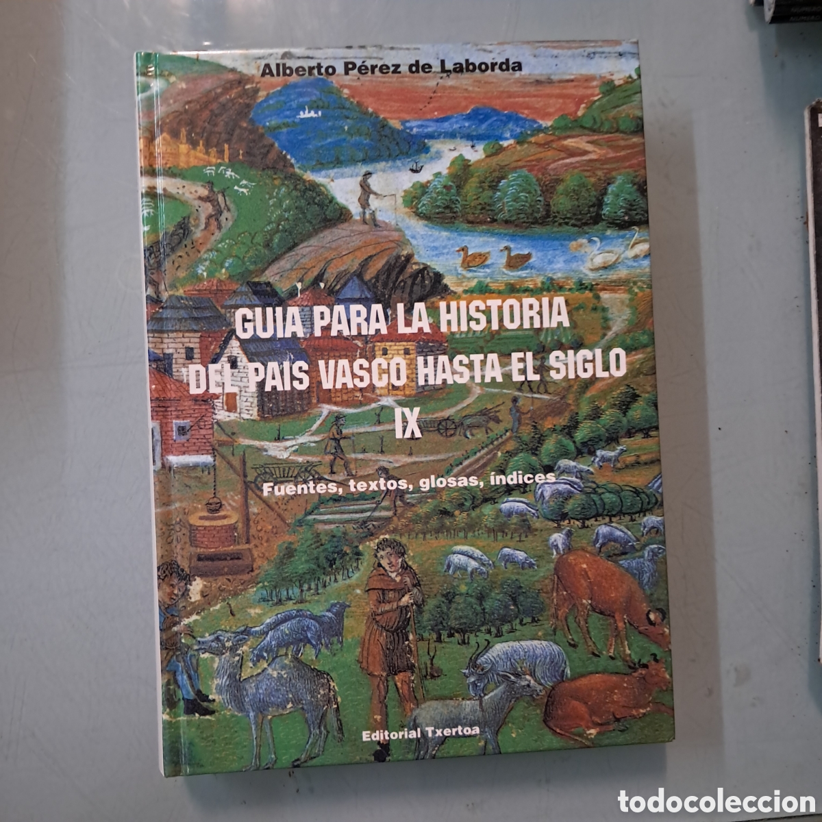 Libros: Alberto P&eacute;rez de Laborda, Gu&iacute;a para la historia del Pa&iacute;s Vasco hasta el siglo IX, Txertoa