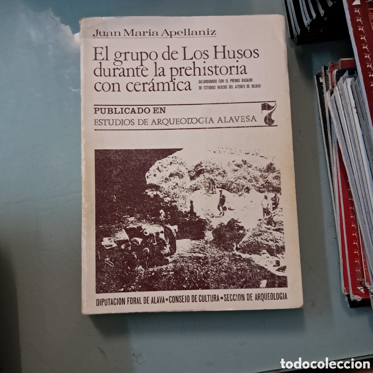 Libros: Juan Maria Apellaniz, El grupo de Los Husos durante la prehistoria con ceramica