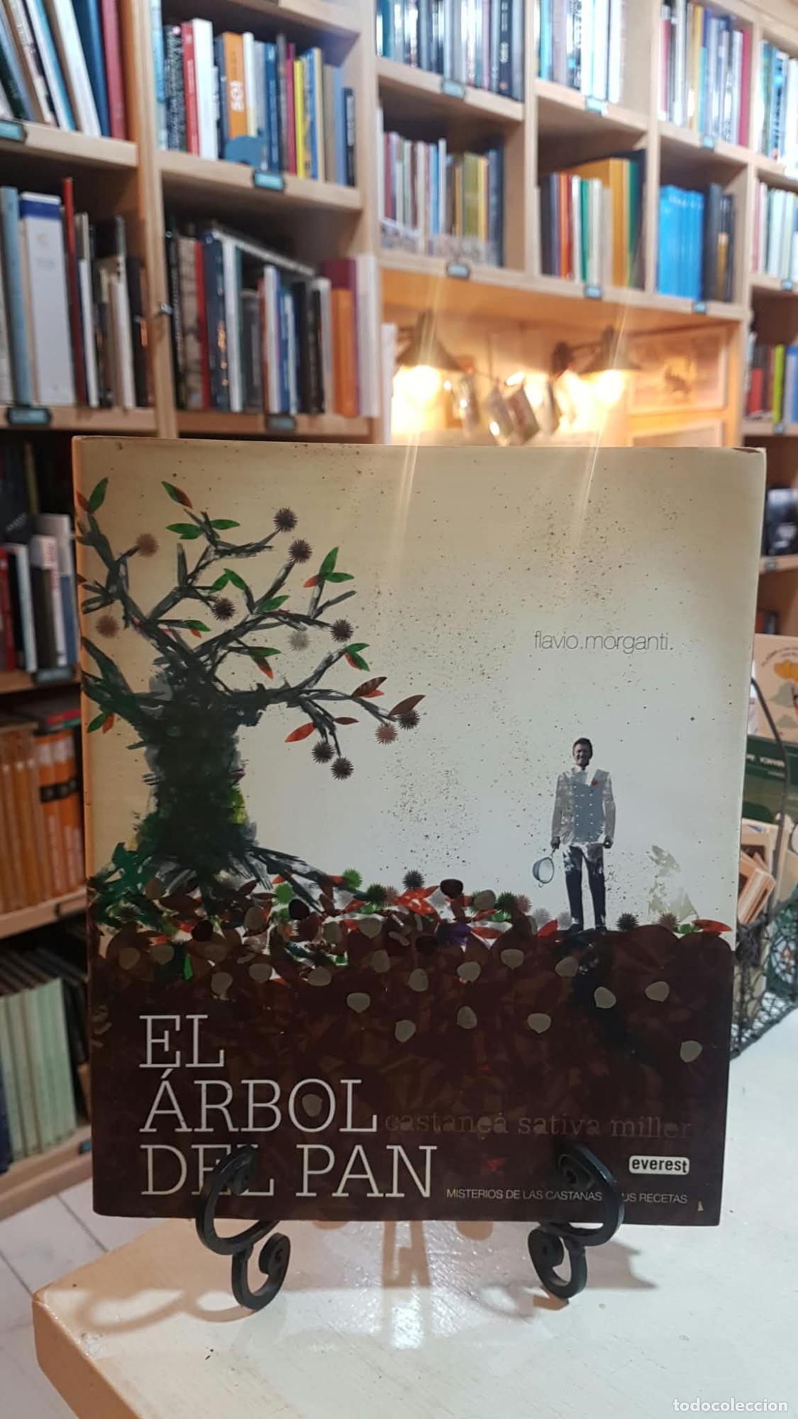 Libros: El &aacute;rbol del pan. Castanea sativa miller - Morganti Flavio