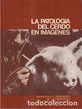 B&uuml;cher: La patolog&iacute;a del cerdo en im&aacute;genes - Dr. &Aacute;ngel L&aacute;zaro Porta (traductor)