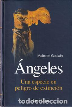 Libros: &Aacute;ngeles - Malcom Godwin - Foto 1