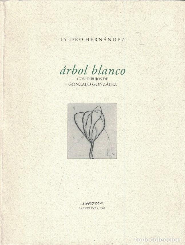 Libros: &Aacute;RBOL BLANCO. Poemas. - Hern&aacute;ndez Isidro, - Foto 1