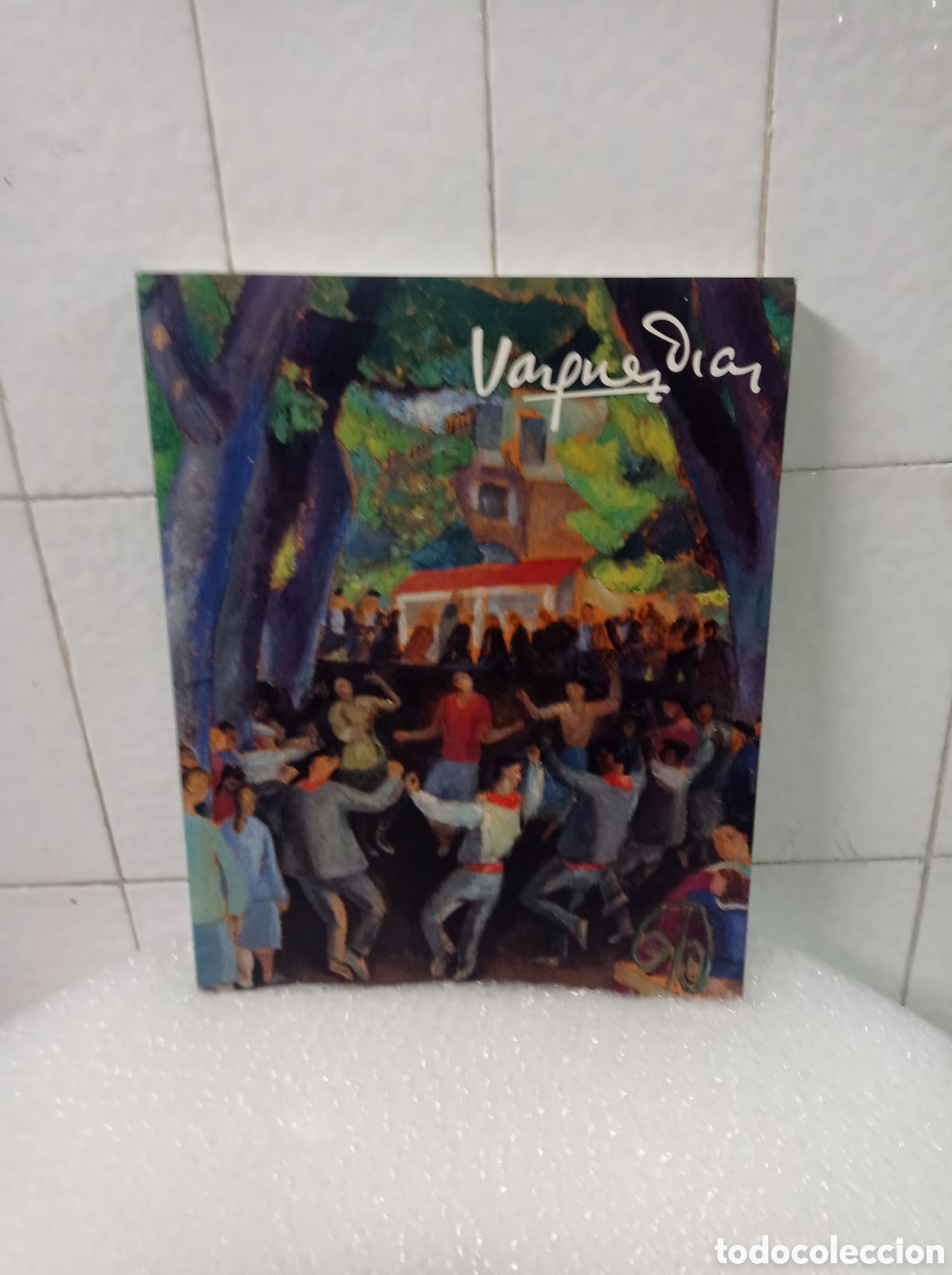 Libros: V&aacute;zquez D&iacute;az y el Bidasoa.