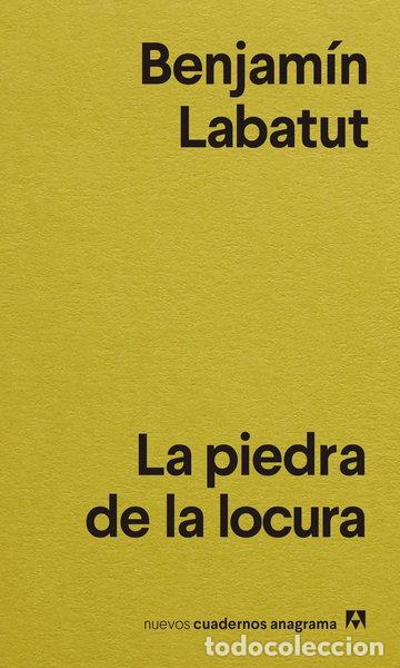 Libros: La piedra de la locura- 9788433916556