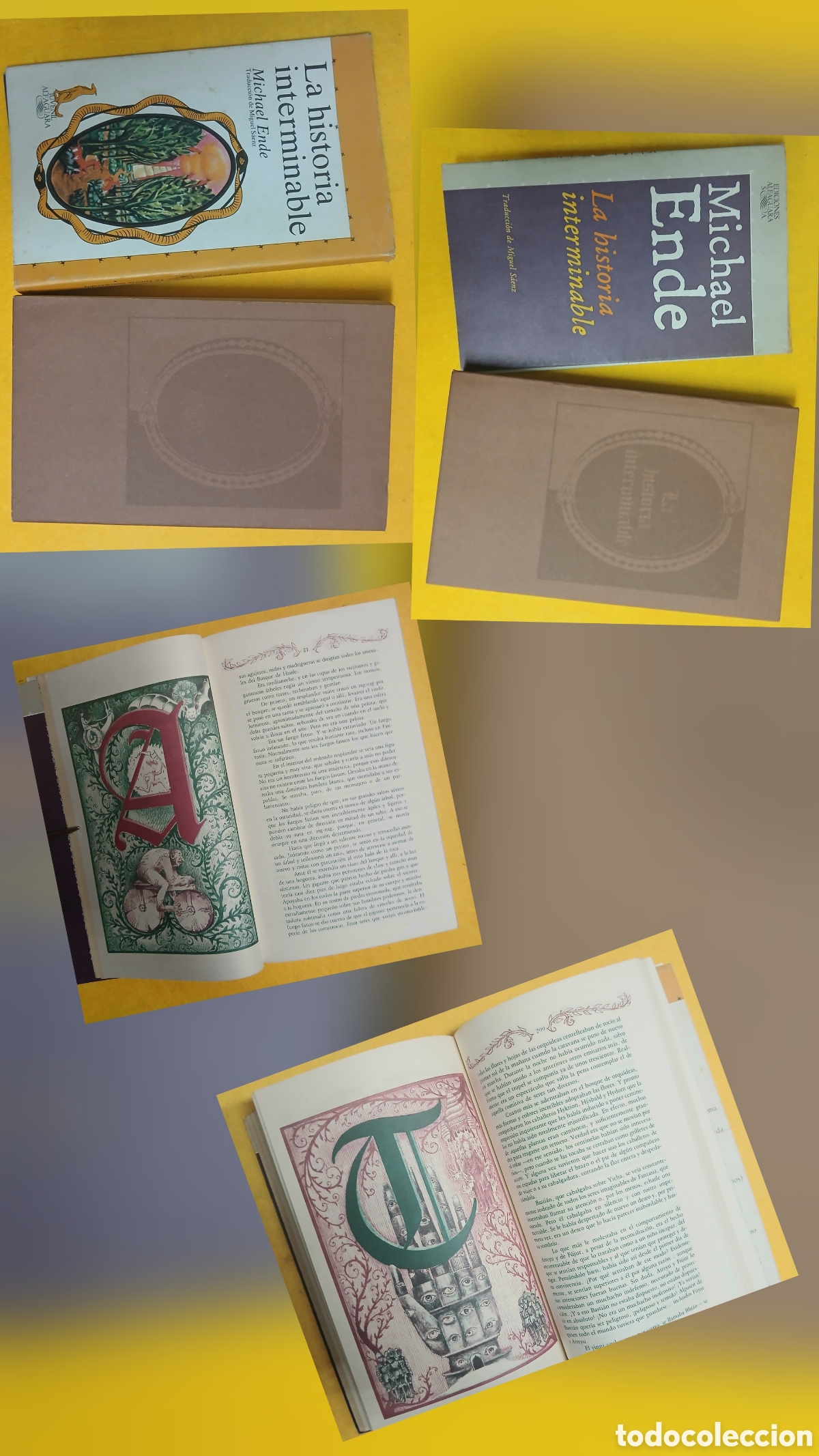 books: La historia interminable