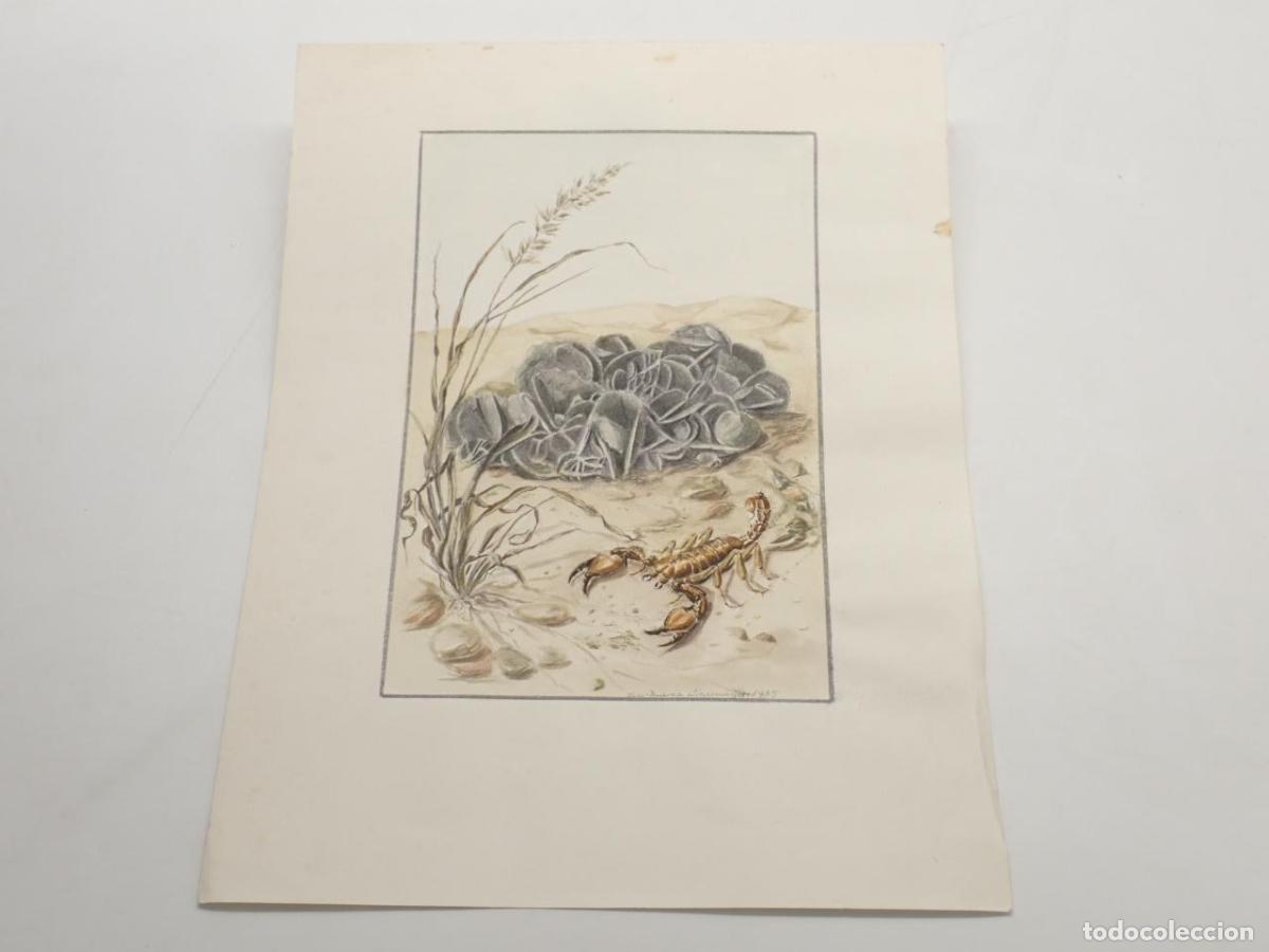 B&uuml;cher: Dibujo original de Eva Maria Linsmayer - LINSMAYER, Eva Maria