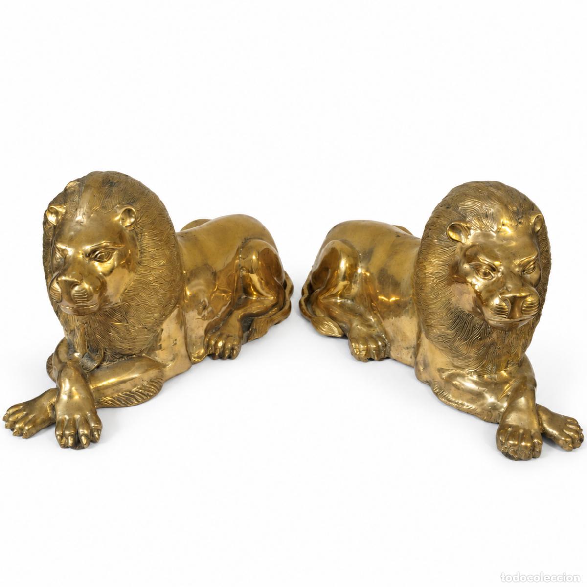 books: Pareja de leones reclinados en bronce dorado (50 cm)