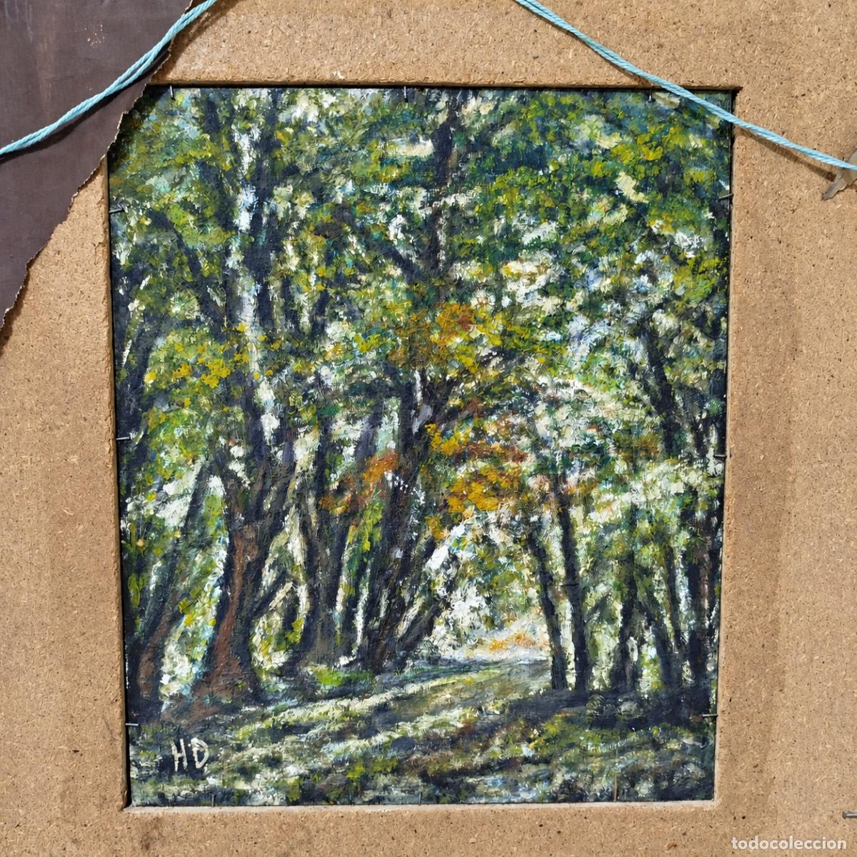 Libros: HD - Pintura de doble cara � Interior y bosque - Foto 7