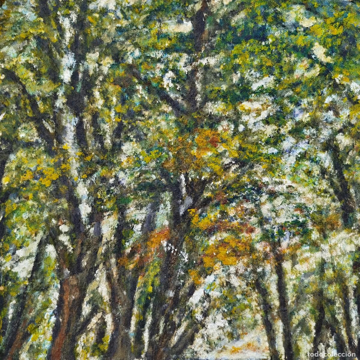 Libros: HD - Pintura de doble cara � Interior y bosque - Foto 9