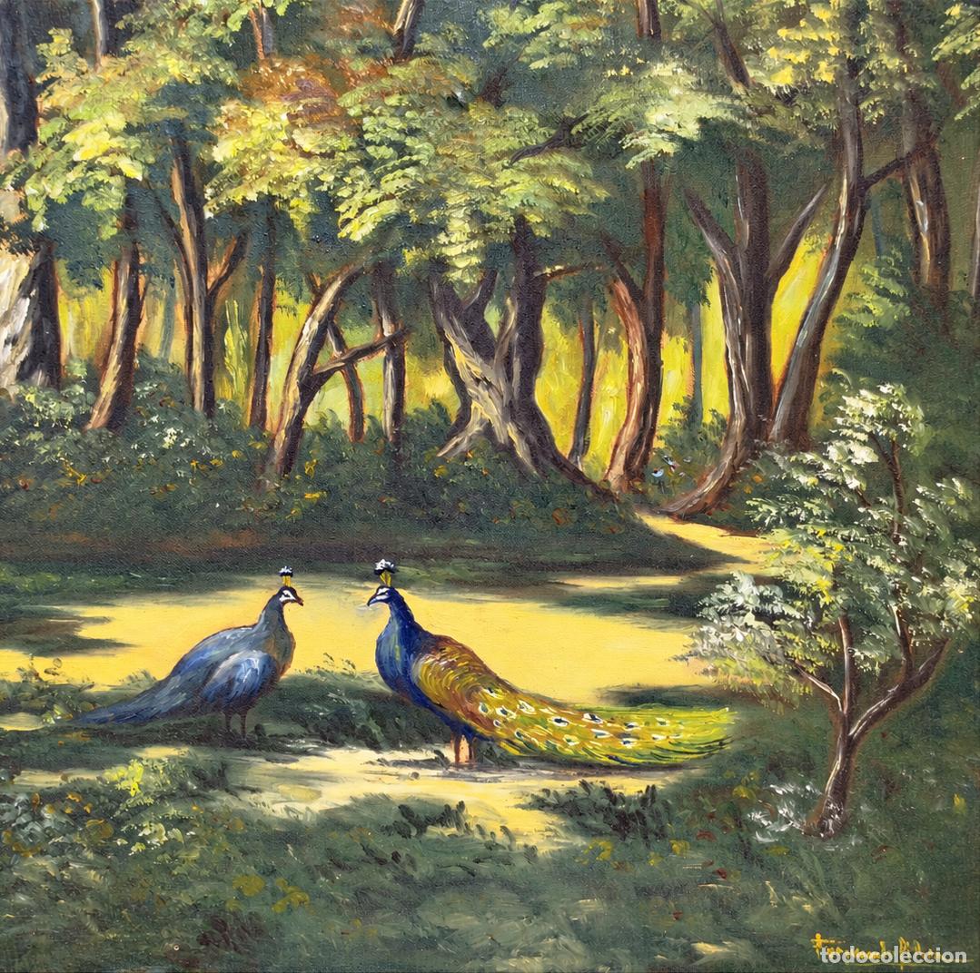 Libros: Fernando Pina - Pavos reales en un claro - Foto 2