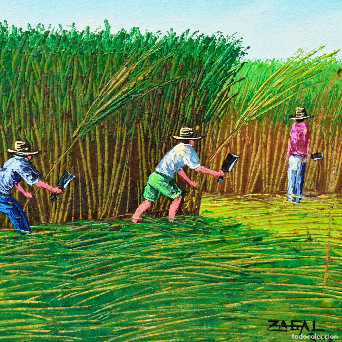Libros: Zagal - Esqueje de ca&ntilde;a de az&uacute;car I - Foto 5