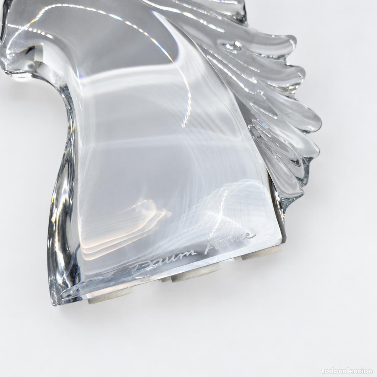 Libros: NUEVO - Daum - Escultura, Cabeza de caballo - Foto 5