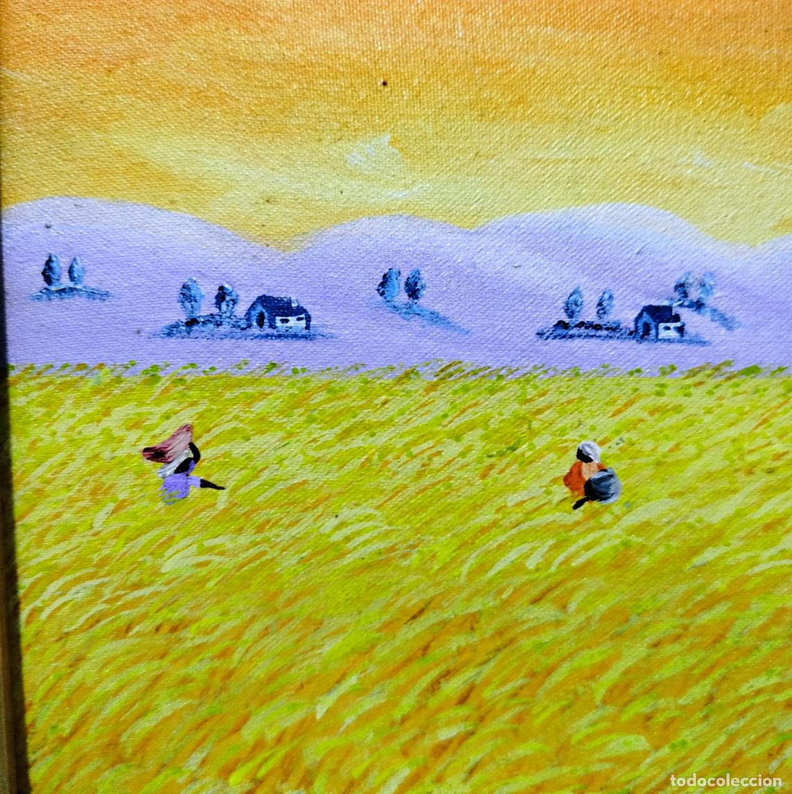 Libros: Moza - Cosecha en el campo - Foto 4