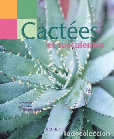 Livres: Cact&eacute;es et succulentes- 9782012367814