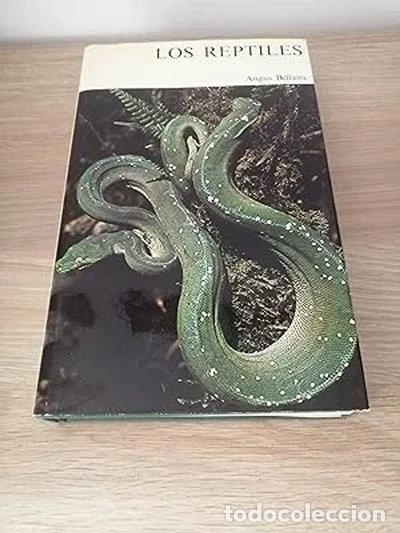 Libros: Los reptiles- 9788423308644