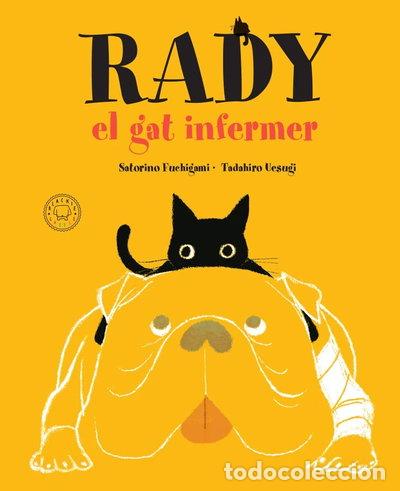 Libros: Rady, el gat infermer- 9788417552725