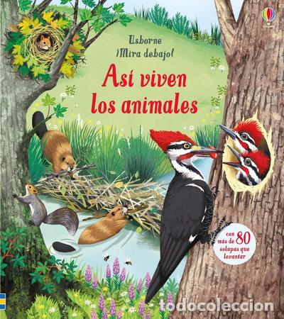 books: As&iacute; viven los animales- 9781474961356