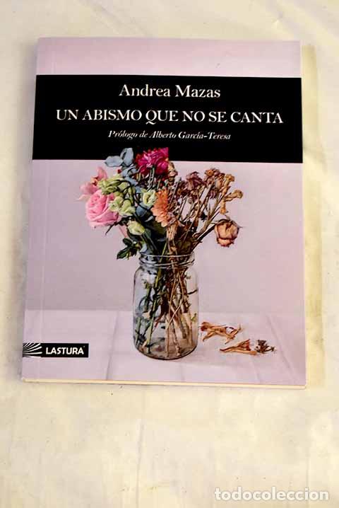 Libros: Un abismo que no se canta.- Mazas, Andrea
