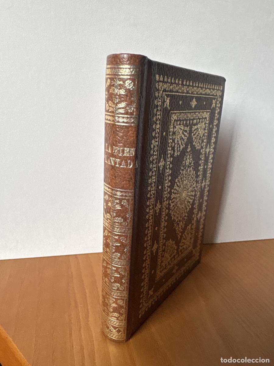 Libros: LA BIEN PLANTADA - EUGENIO D'ORS TDK206