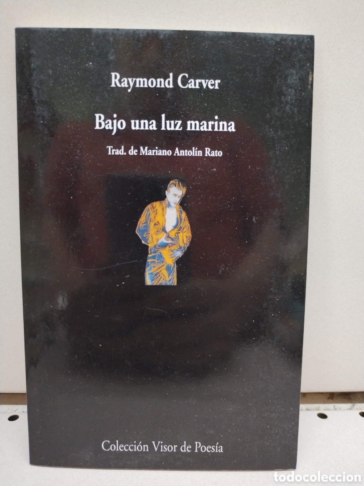 books: Bajo una luz marina - Raymond Carver