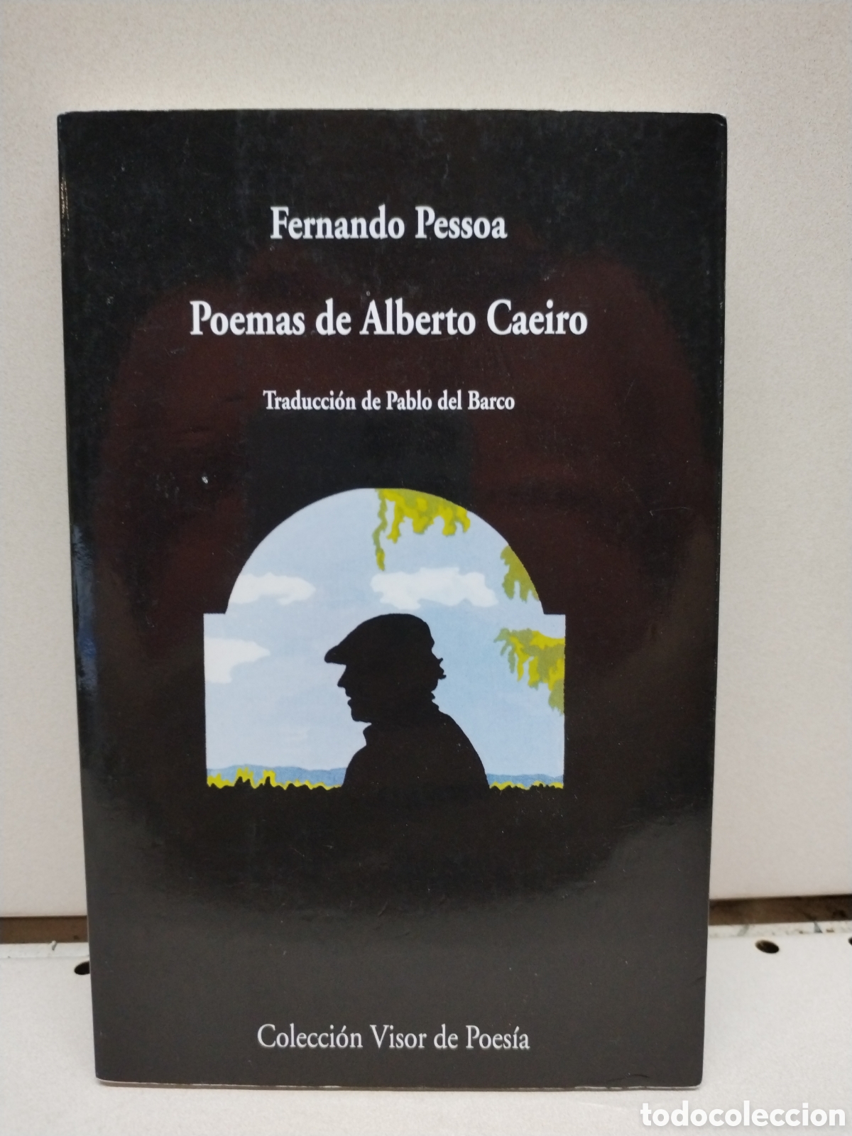 Livres: Poemas de Alberto Caeiro: 105 (Visor de Poes&iacute;a) - Fernando Pessoa