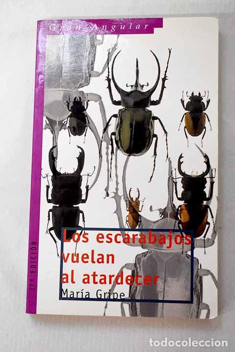 Libros: Los escarabajos vuelan al atardecer.- Gripe, Maria
