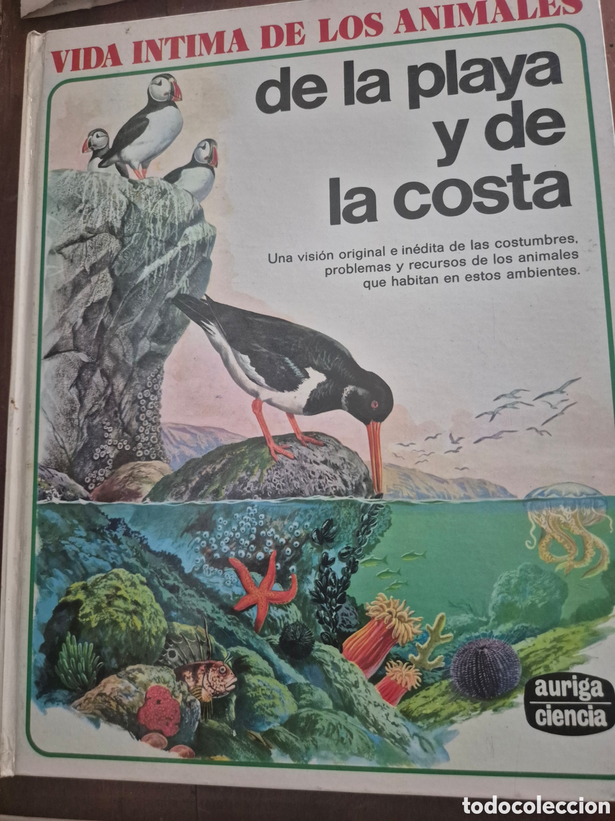 Libros: LA VIDA INTIMA DE LOS ANIMALES 6 TOMOS - Foto 3
