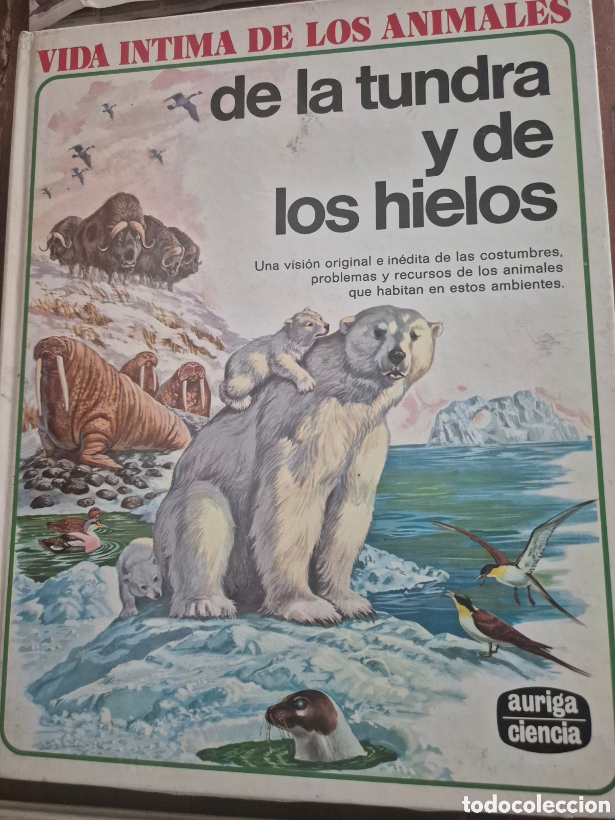 Libros: LA VIDA INTIMA DE LOS ANIMALES 6 TOMOS - Foto 4