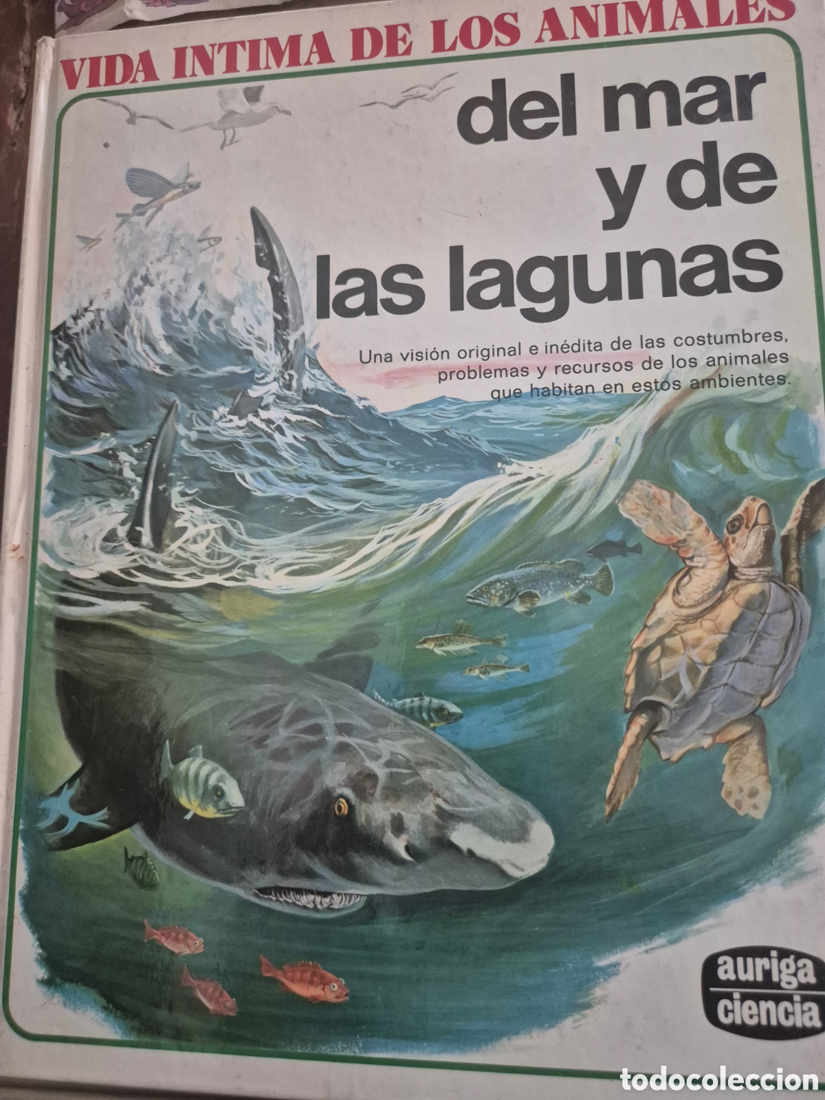 Libros: LA VIDA INTIMA DE LOS ANIMALES 6 TOMOS - Foto 5