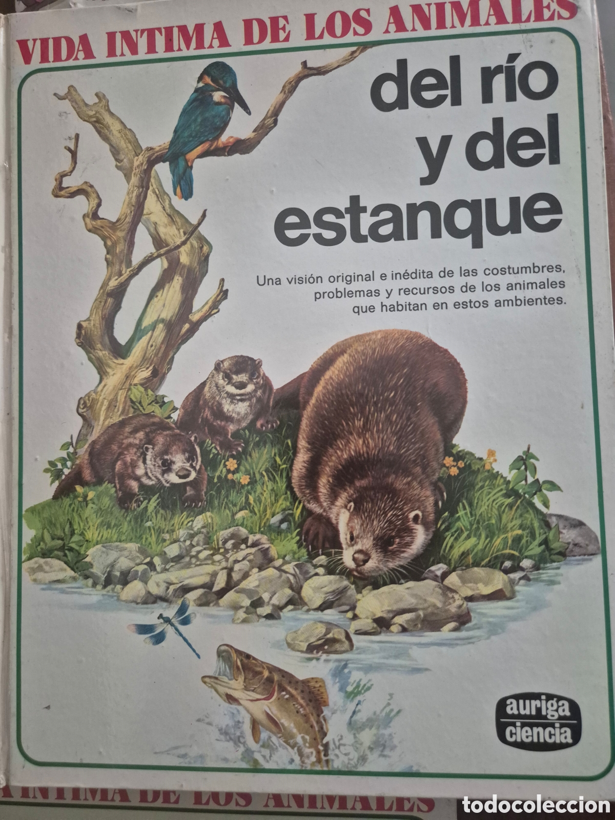 Libros: LA VIDA INTIMA DE LOS ANIMALES 6 TOMOS - Foto 6