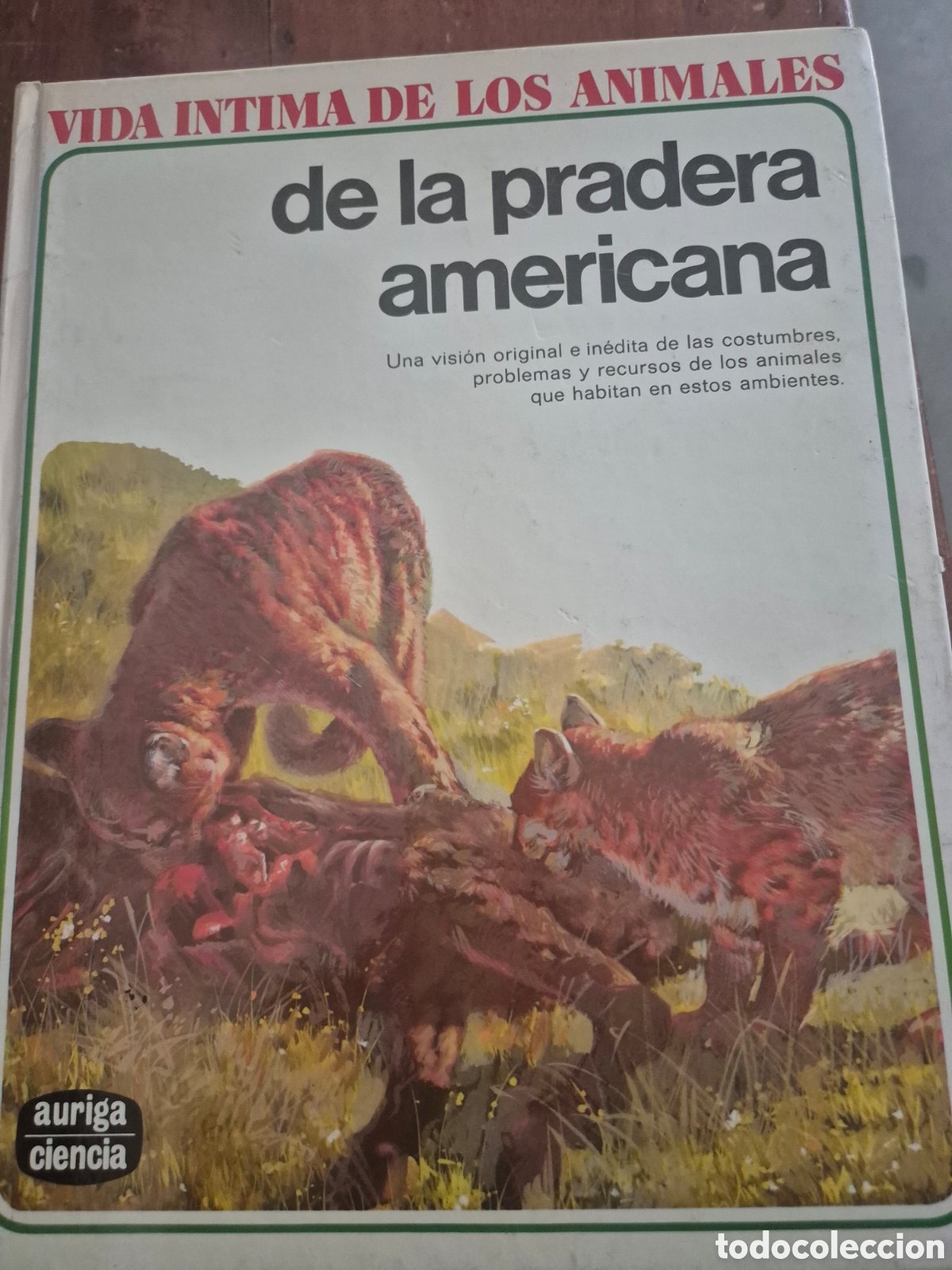 Libros: LA VIDA INTIMA DE LOS ANIMALES 6 TOMOS - Foto 7