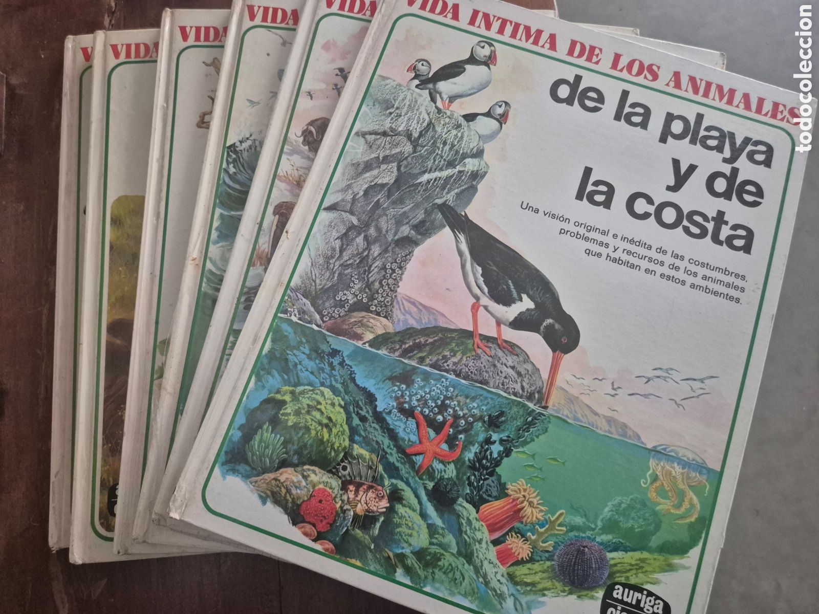 Libros: LA VIDA INTIMA DE LOS ANIMALES 6 TOMOS