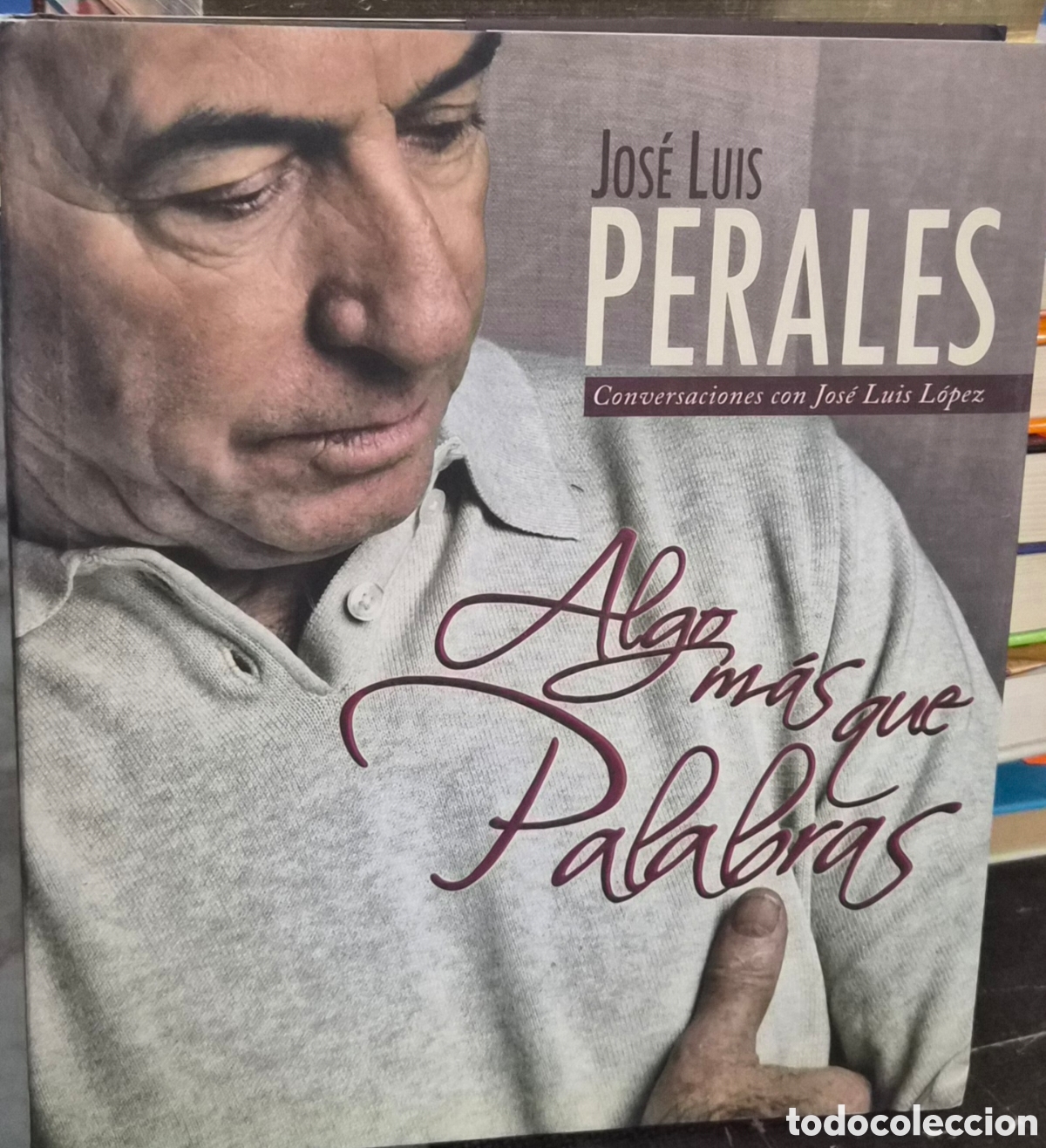 Libros: Algo m&aacute;s que palabras: Jos&eacute; Luis Perales. Conversaciones con Jos&eacute; Luis