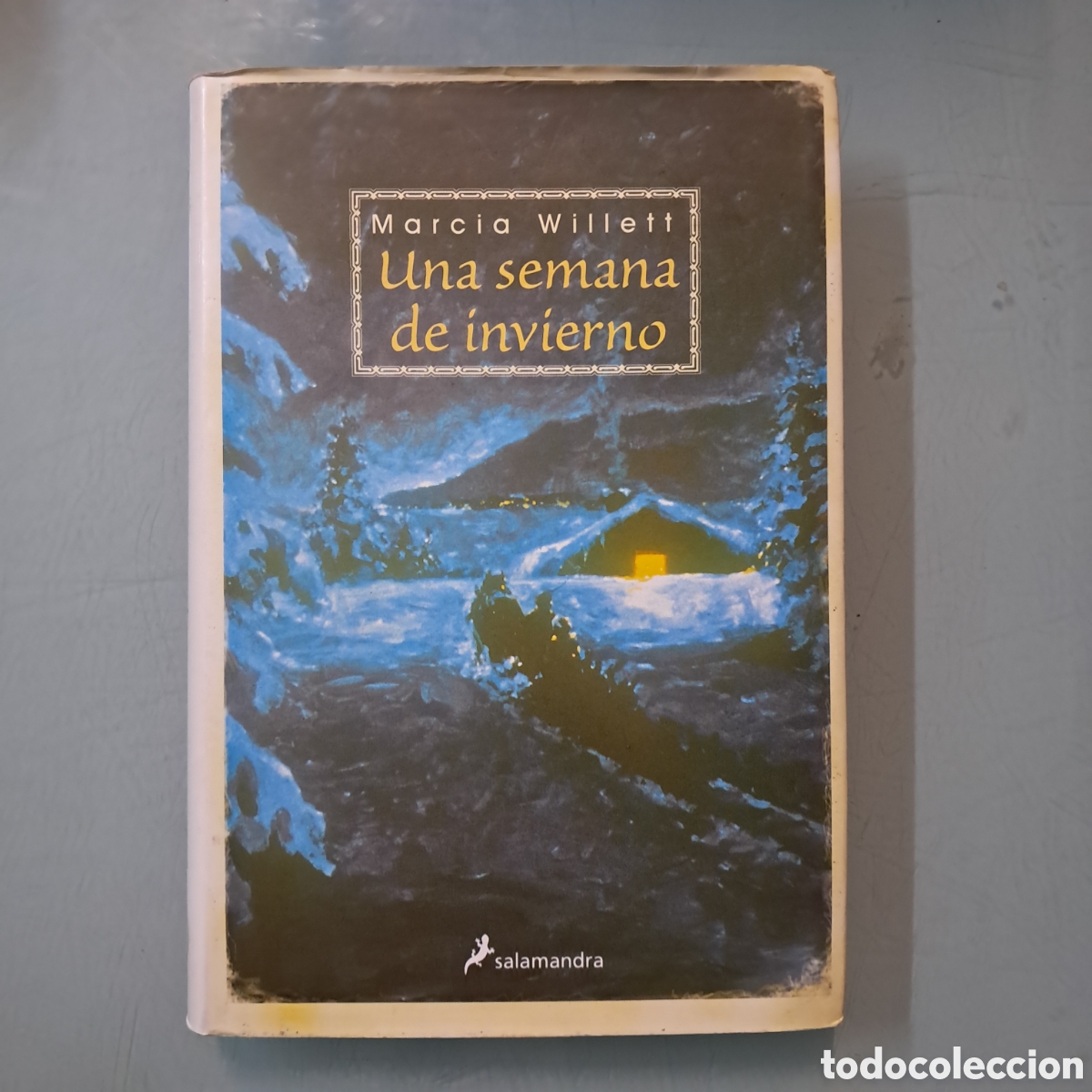 Libros: Marcia Willett, Una semana de invierno, Salamandra