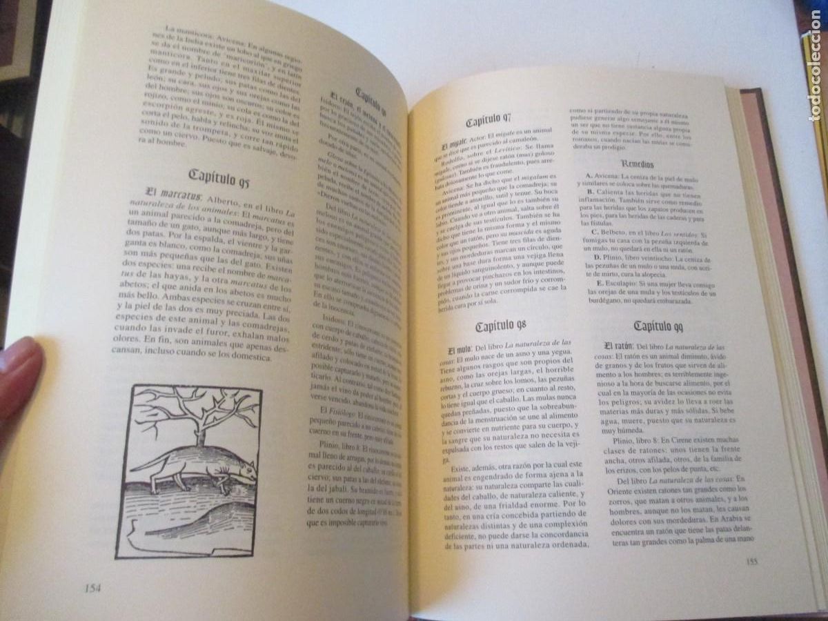 Libros: HORTUS SANITATIS DE ANIMALIBUS (facsimil + traducci&oacute;n) W42201 - Foto 4