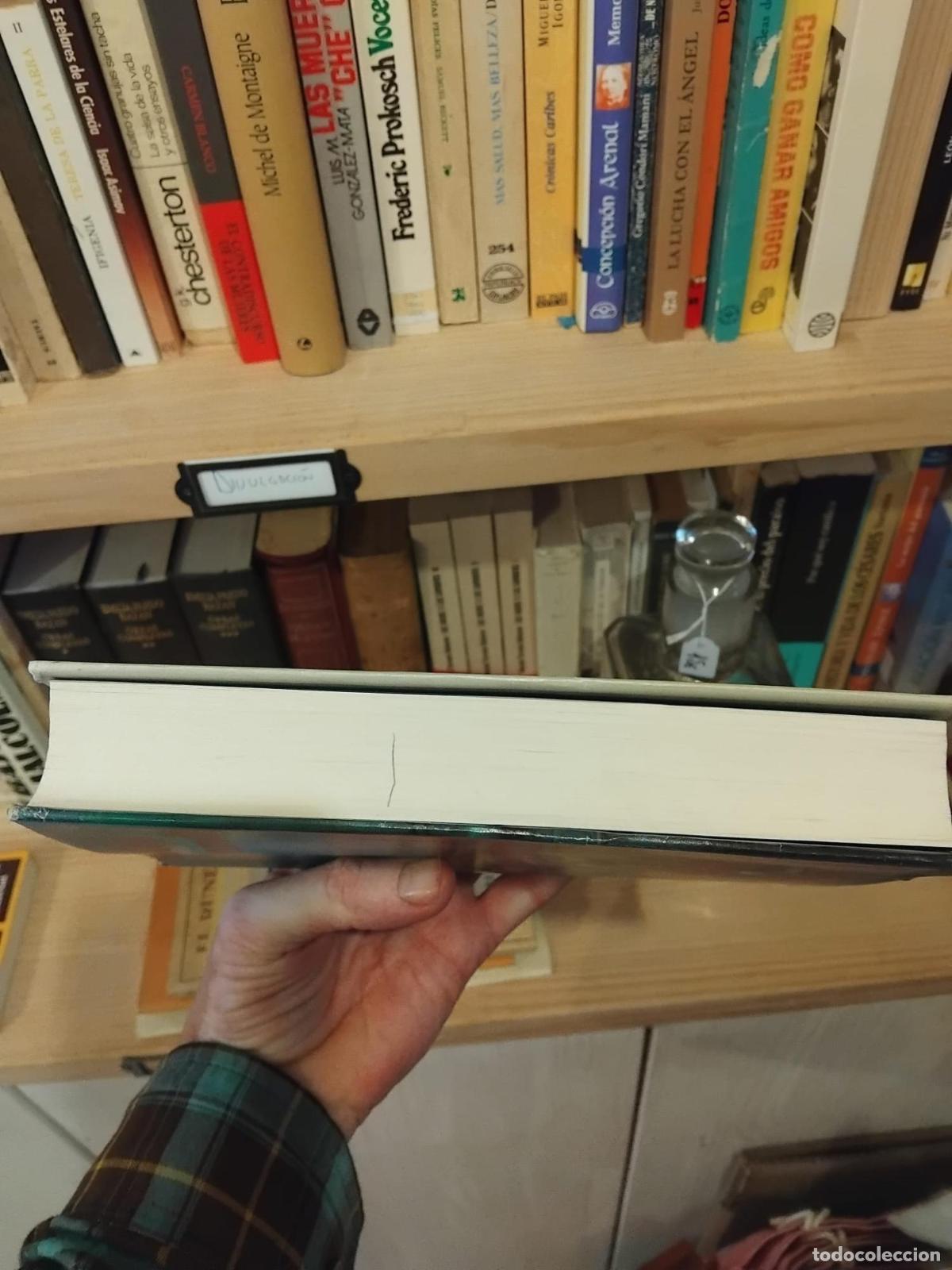 Libros: Muerte al alba. Robert R. McCammon - - Foto 4