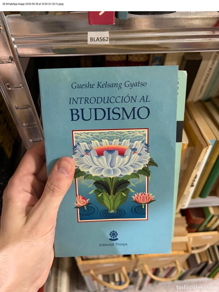 Livros em segunda m&atilde;o: BLAS62 INTRODUCCI&Oacute;N AL BUDISMO Gueshe Kelsang Gyatso Editorial Tharpa - Gueshe Kelsang Gyatso