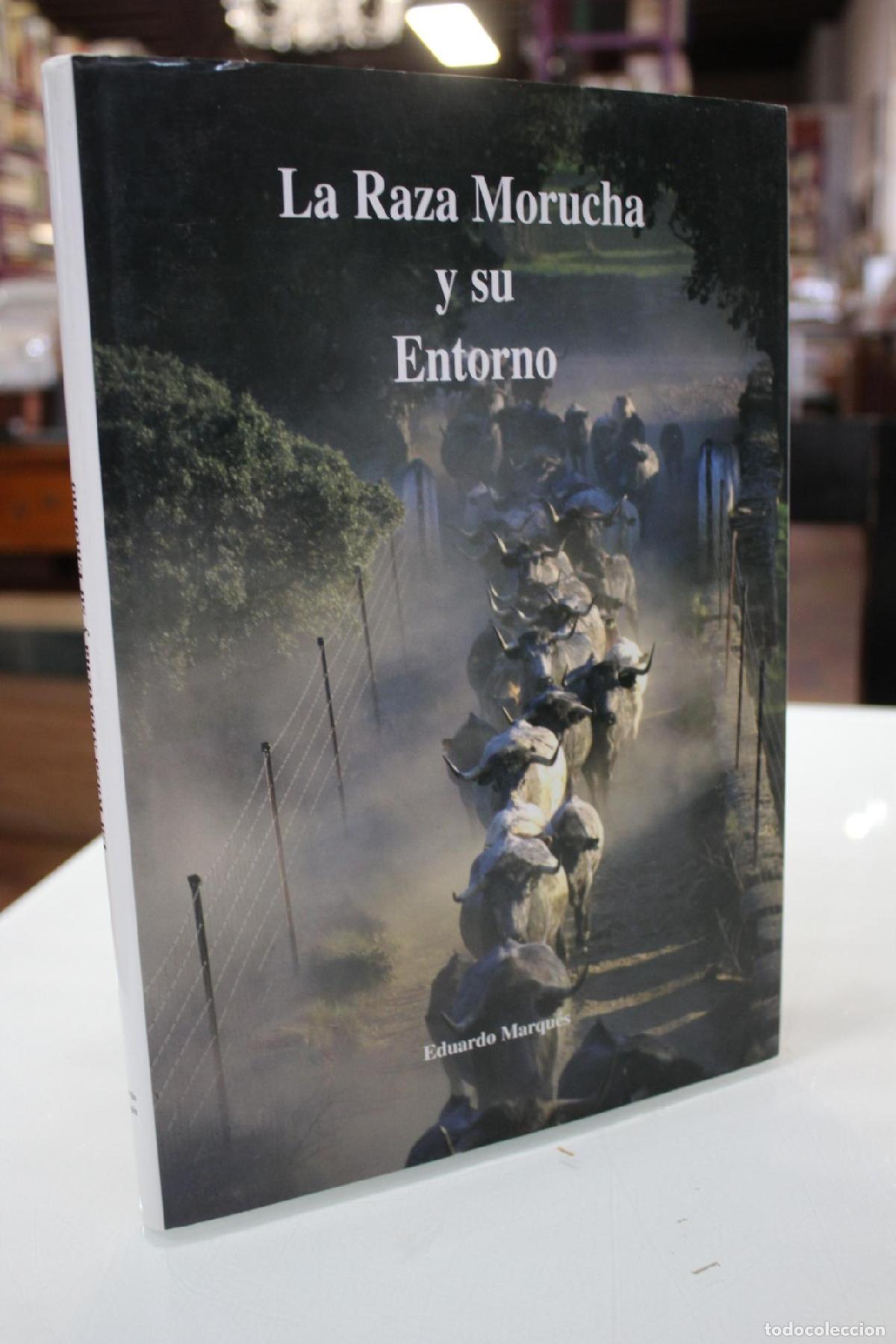 B&uuml;cher: La raza morucha y su entorno. - EDUARDO MARQU&Eacute;S ROMERAL