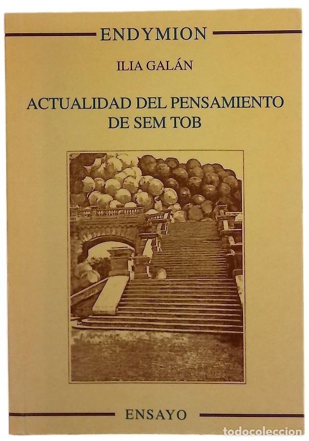 Libros: Actualidad del pensamiento de Sem Tob filosof&iacute;a hispano-hebrea del siglo XIV en Palencia