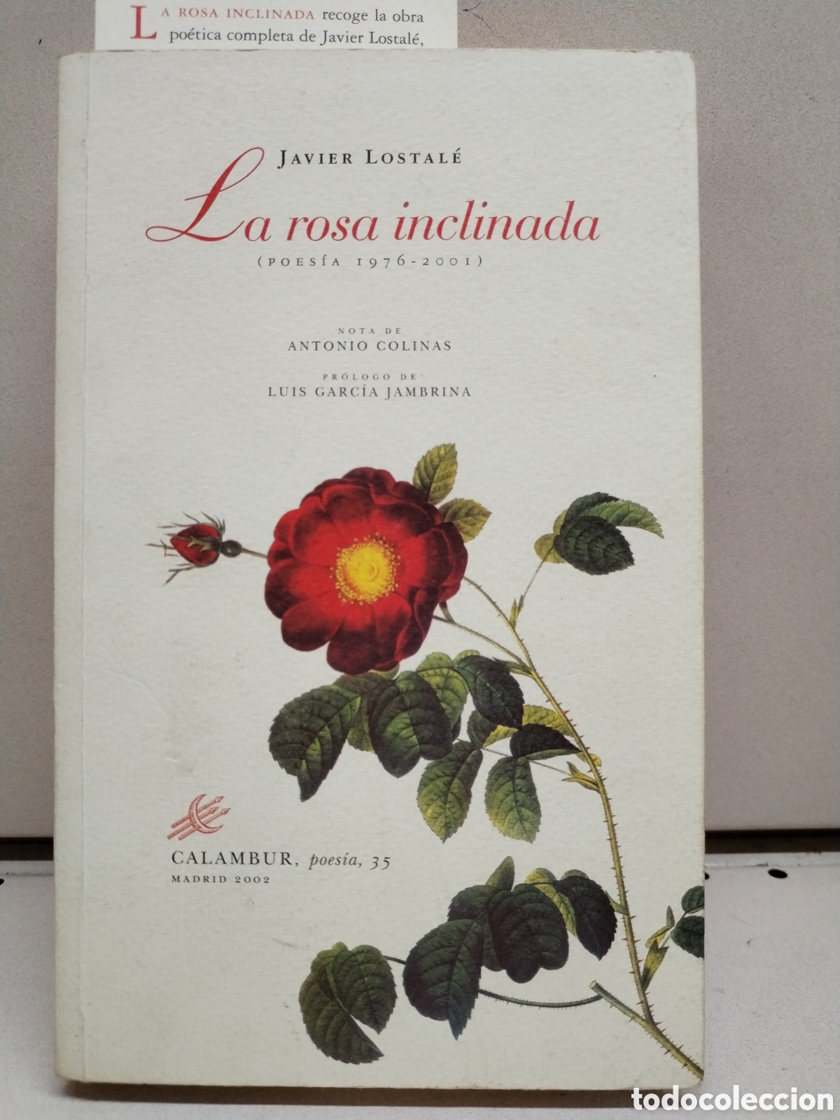 B&uuml;cher: Rosa inclinada (Calambur Poes&iacute;a) - Lostal&eacute;, Javier
