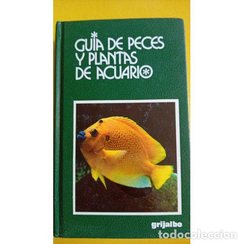 books: GU&Iacute;A DE PECES Y PLANTAS DE ACUARIO - SERRANO, MERC&Eacute;
