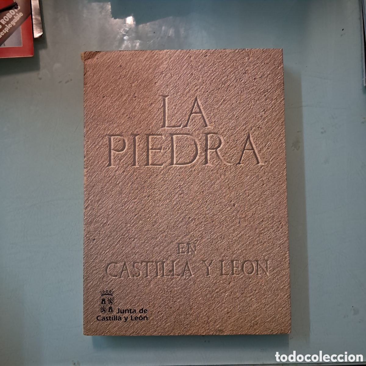 Libros: La piedra, en Castilla y Le&oacute;n, Valladolid, 2024