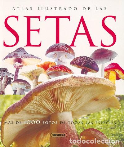 Libros: Atlas ilustrado de las setas- 9788430547210